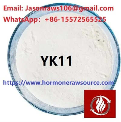 YK-11 مسحوق لكمال الأجسام CAS:1370003-76-1
